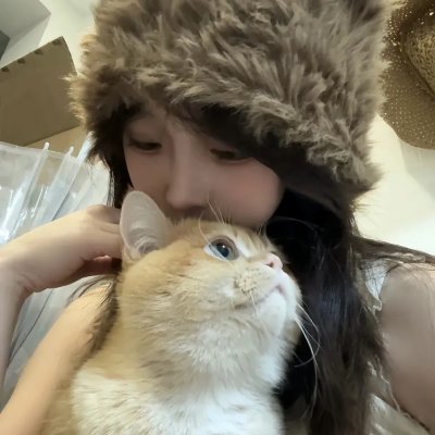 真假维梅尔